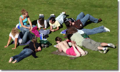 student placement services